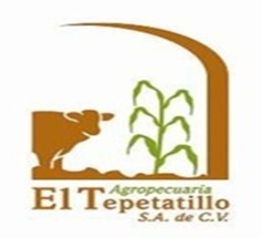 EL TEPETATILLO