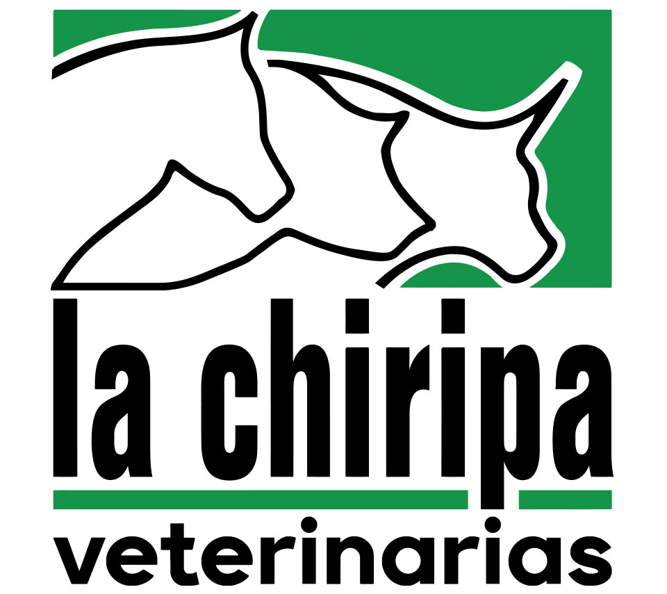 LA CHIRIPA